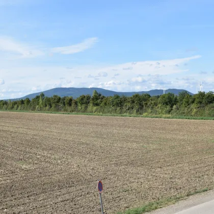 Sofortbezug, großzügige neue 2 Zimmer mit 14m² Loggia, Ruhelage und Schneebergblick, Vösendorf - Bild 3