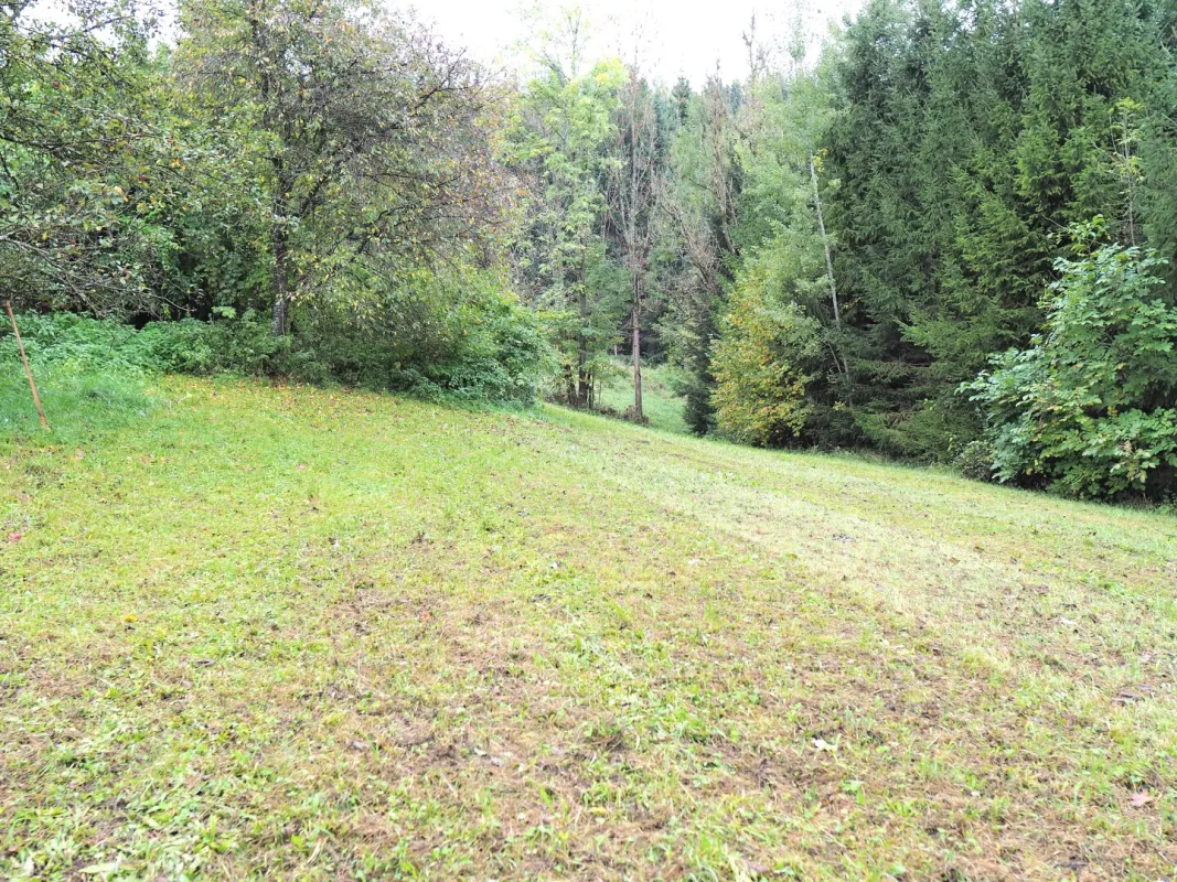 WUNDERBARER, SONNIGER Baugrund in WARTBERG zu VERKAUFEN! - Bild 1