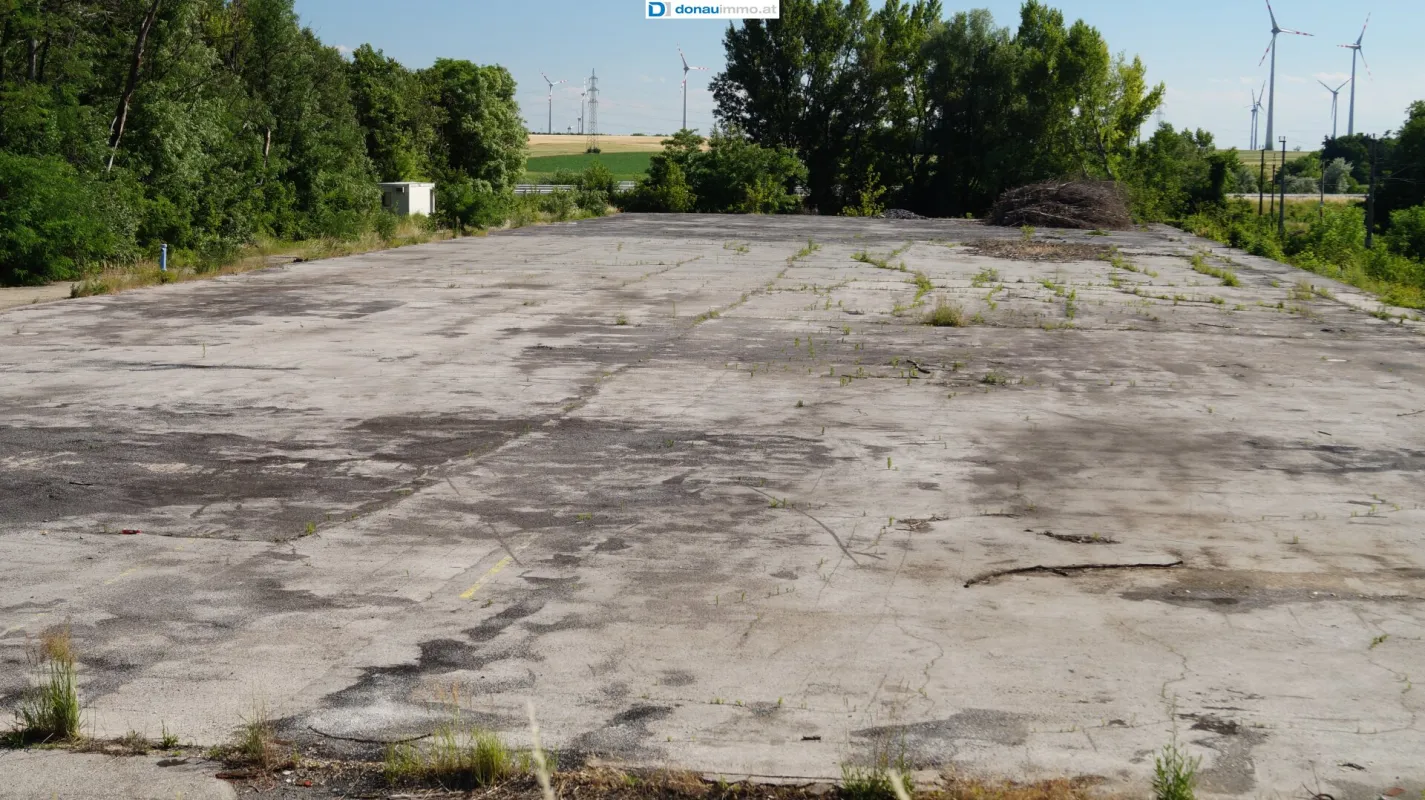 2405 Bad Deutsch-Altenburg Stellplätze und Lagerplätze auf asphaltierter Freifläche - Bild 1