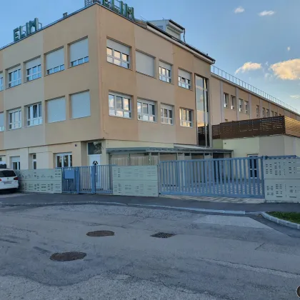 Vermietete Anlegerwohnung in Wr.Neustadt - Bild 2