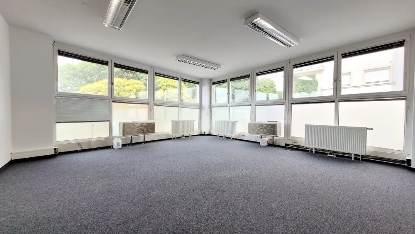 GERÄUMIGES BÜRO MIT GRÜNBLICK - Bild 1