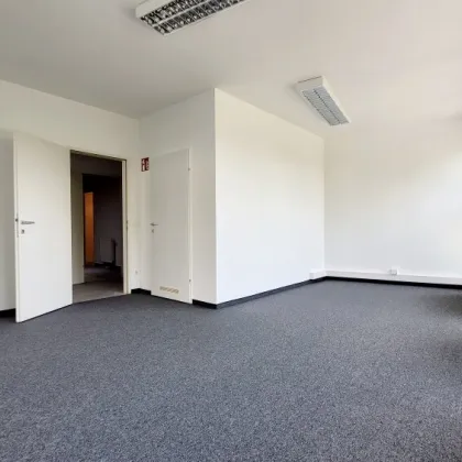 GERÄUMIGES BÜRO MIT GRÜNBLICK - Bild 2