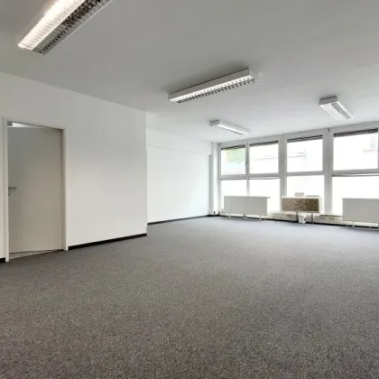 GERÄUMIGES BÜRO MIT GRÜNBLICK - Bild 3