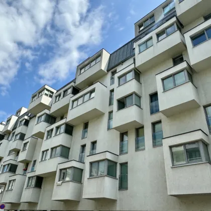 All-inclusive Wohnungen beim Kirschblütenpark – nahe U1 Kagran! Warmmiete! - Bild 2