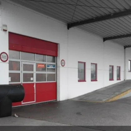 Lager im Erdgeschoss, bei Bedarf auch Büroräume verfügbar - Bild 2