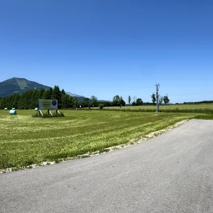 MARIAZELL - 3 SONNIGE GEWERBEBAUGRÜNDE IM BAURECHT/BAUPACHT - Bild 2