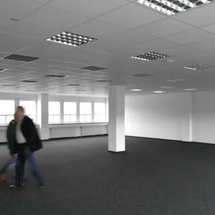 858 m² Halle + 351 m² Büro über der Halle - Bild 3