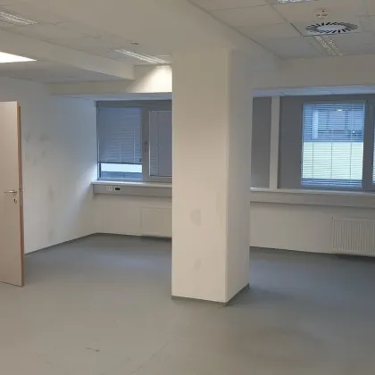attraktives Bürohaus, U3-Nähe, Stellplätze, EDV-Verkabelung im Büro, Betriebsrestaurant im Haus - Bild 3