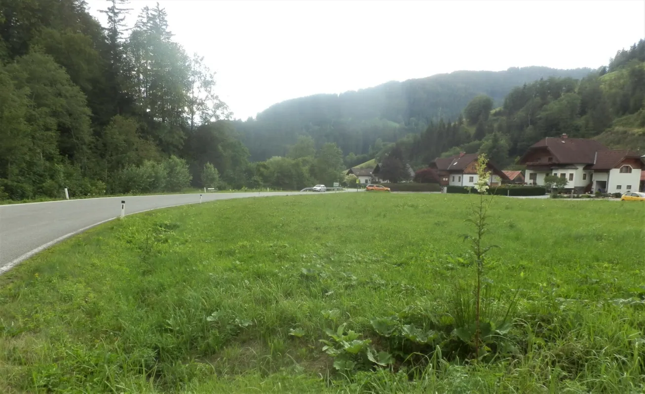 NEUBERG AN DER MÜRZ/KAPELLEN - SCHÖN GELEGENE BAURECHTSGRÜNDE - Bild 1