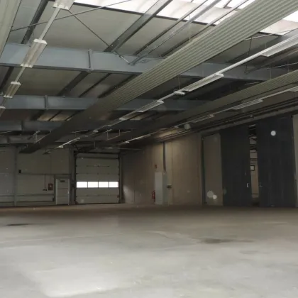 Zur Vermietung gelangt eine Lagerhallefläche von ca. 400 m² bis 2500 m²  in Neutal. - Bild 3