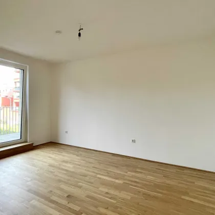 Charmante 2-Zimmer-Wohnung inkl. Einbauküche und großzügiger Freifläche - ab 01.01.2026 beziehbar! - Bild 3