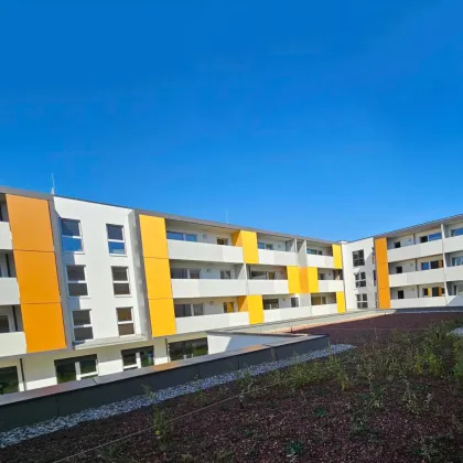 Grüner Max - Nachhaltig Wohnen: 4-Zimmer-Maisonette-Wohnung inkl. 33m² großer Loggia - Erstbezug, Provisionsfrei! - Bild 3