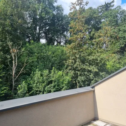 Wohnen am grünen Stadtrand von Linz - Reihenhaussiedlung Agathe-Schwabenau-Weg - Bild 3