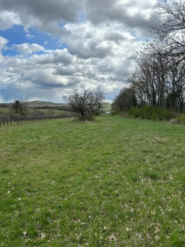 idyllischer landwirtschaftlicher Grund in Winden am See - Bild 1