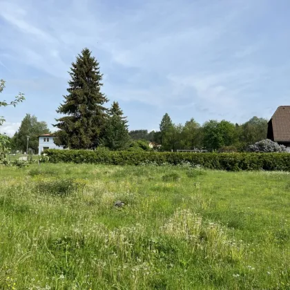 Baugrund mit sehr guter Infrastruktur - Bild 2