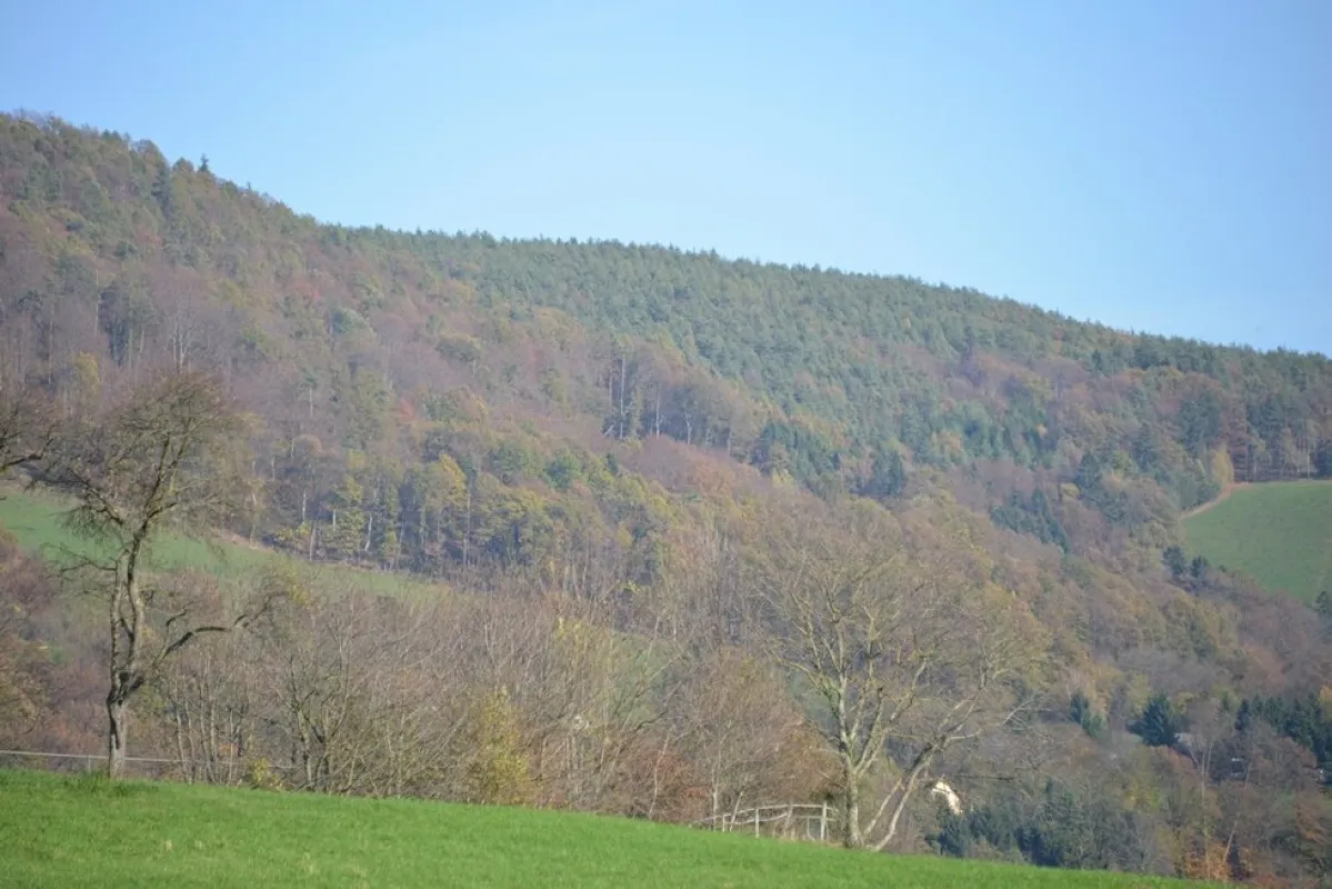 Ungewöhnlicher Baugrund mit Freiland ca. 600 m², Wochenendhütte, nahe Schöckelstraße - Bild 1