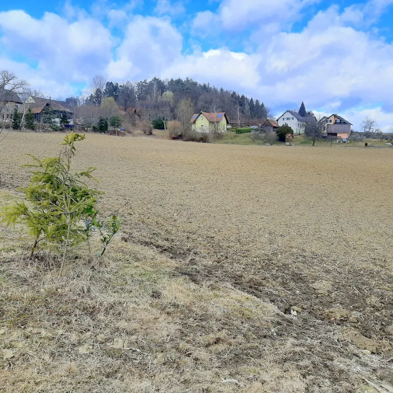 Wohnen im Grünen - Perfekt für Bauträger! Nur 3 Autominuten von Stainz entfernt - Bild 1