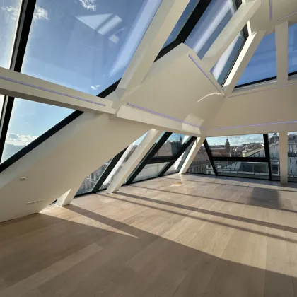 Blick über Wien!!! DG Wohnung im Herzen des 1. Bezirks! - Bild 2