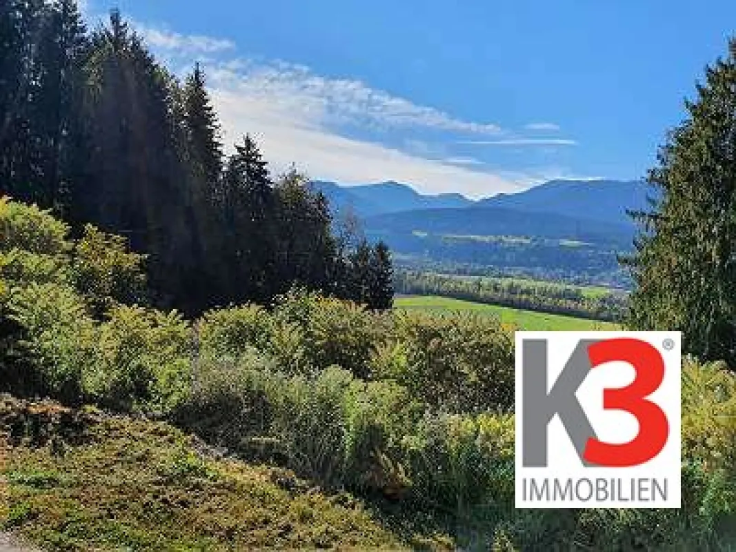 K3 - GELEGENHEIT FÜR BAUTRÄGER: Großer sonniger Baugrund, Südhang-Lage, unverbaubarer Fernblick, Waldrandlage im Dorfgebiet. Genehmigtes Bauprojekt vorhanden! Guter Preis. - Bild 1
