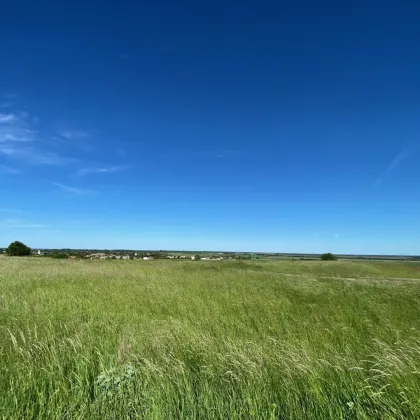 Nickelsdorf -sonniges Grundstück in absoluter Ruhelage - Bild 2