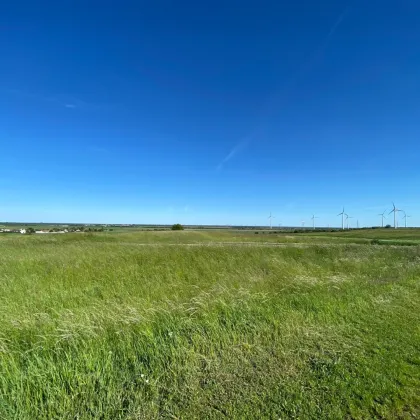 Nickelsdorf -sonniges Grundstück in absoluter Ruhelage - Bild 3