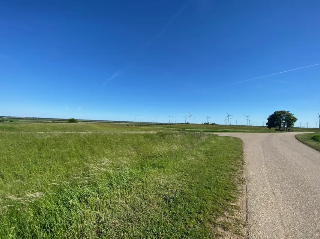 Nickelsdorf -sonniges Grundstück in absoluter Ruhelage - Bild 1