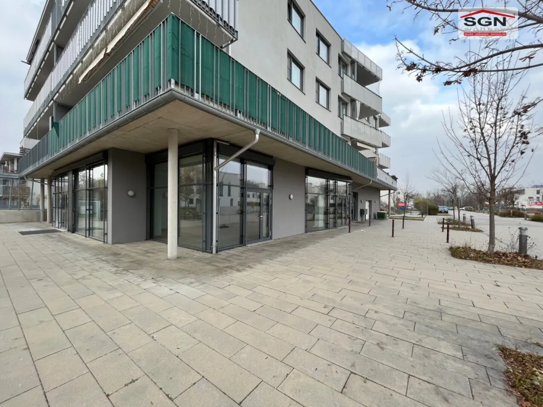 Großzügige Bürofläche anzumieten mit Stundungsvariante - Bild 1