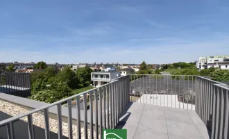 Anlegerwohnung für Investoren (Nettopreis) - sofort vermietbar inkl. Küche - DG-Wohnung mit Terrasse in Ruhelage auf Eigengrund