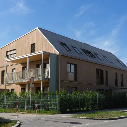 Bezugsfertige, neue 4 Zi Wohnung, 16m² Balkon, schöner Blick, ausgezeichnet mit dem Holzbaupreis NÖ, exklusiv und ökologisch nachhaltig, Gießhübl - Bild 2