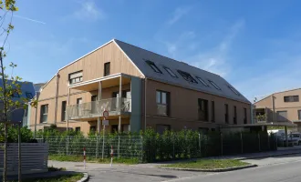 Bezugsfertig, neue 2 Zi Wohnung, mit schönem Fernblick, Gießhübl, ausgezeichnet mir dem NÖ Holzbaupreis