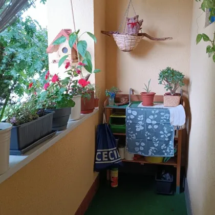Ruhige Wohnidylle mit Ausblick – lichtdurchflutete 3-Zimmer-Wohnung mit Loggia im obersten Stockwerk und idealer Lage im Herzen von Münichholz! - Bild 2