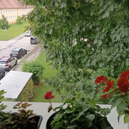 Ruhige Wohnidylle mit Ausblick – lichtdurchflutete 3-Zimmer-Wohnung mit Loggia im obersten Stockwerk und idealer Lage im Herzen von Münichholz! - Bild 3