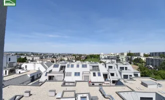 Sonnige DG-Maissonette auf Eigengrund im 22. mit Terrasse und toller Ausstattung (Erdwärme, Sonnenschutz,..) - Anlegerpreis (Netto)