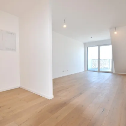 Das wünscht man sich _ Erstbezugs-Neubau in absoluter Hofruhelage mit Weitblick auf Eigengrund in begehrter Lage - U1 - Bild 3