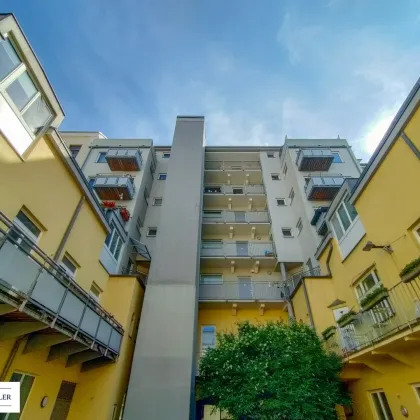 Anlagemöglichkeit mit konstanter Rendite und Potential! Unbefristet vermietete Altbauwohnung mit Balkon in beliebter Lage beim Schlossquadrat - Bild 3