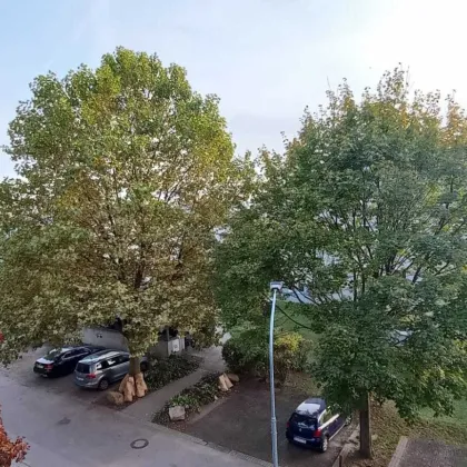 *** 4 Zimmer Wohnung mit Balkon, Parkplatz und Top-Ausstattung in Langenzersdorf*** - Bild 3