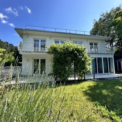Haus am Schafberg in hervorragender Ruhelage - Bild 3