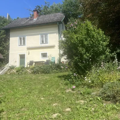 Hörzendorf - Nächstes Jahr die eigenen Pfirsiche ernten - Bild 3
