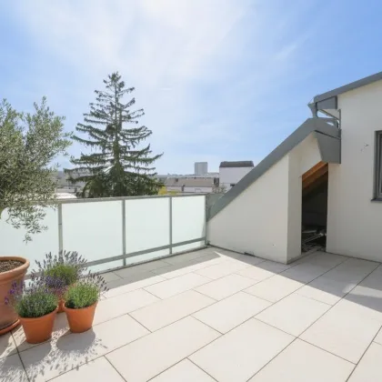 Traumhaftes Penthouse in Wels / Zentrum - Bild 3