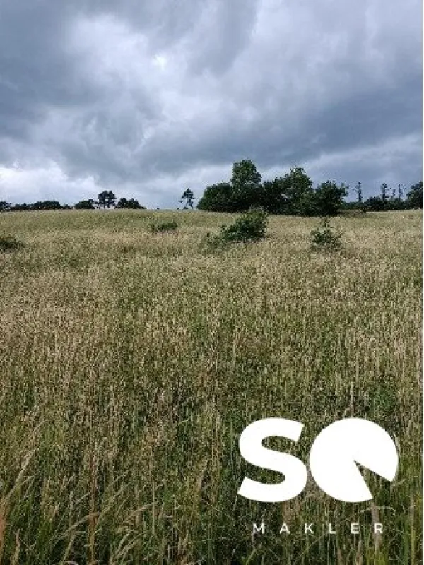 #SQ - € 225 pro m² - GRUNDSTÜCK MIT 2000m² BAULAND - BLICK IN HOCHEICHBERG BEI ALTLENGBACH - Bild 1