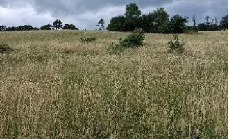 #SQ - € 225 pro m² - GRUNDSTÜCK MIT 2000m² BAULAND - BLICK IN HOCHEICHBERG BEI ALTLENGBACH