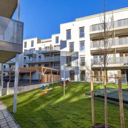 KOLL.home – Wohnen im einzigartigen Neubau im charmanten Wiener Neustadt - Bild 3