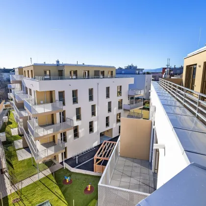 KOLL.home – Wohnen im einzigartigen Neubau im charmanten Wiener Neustadt - Bild 2