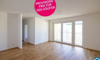 Heimeliger Neubau inmitten Wr. Neustadt