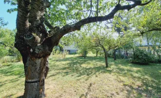 DB IMMOBILIEN | Gartenparadies für Naturliebhaber !!!