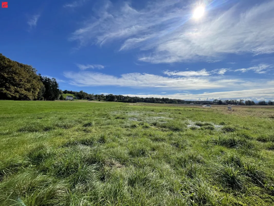 Sonniges Bauland in malerischer Landschaft - Bild 1