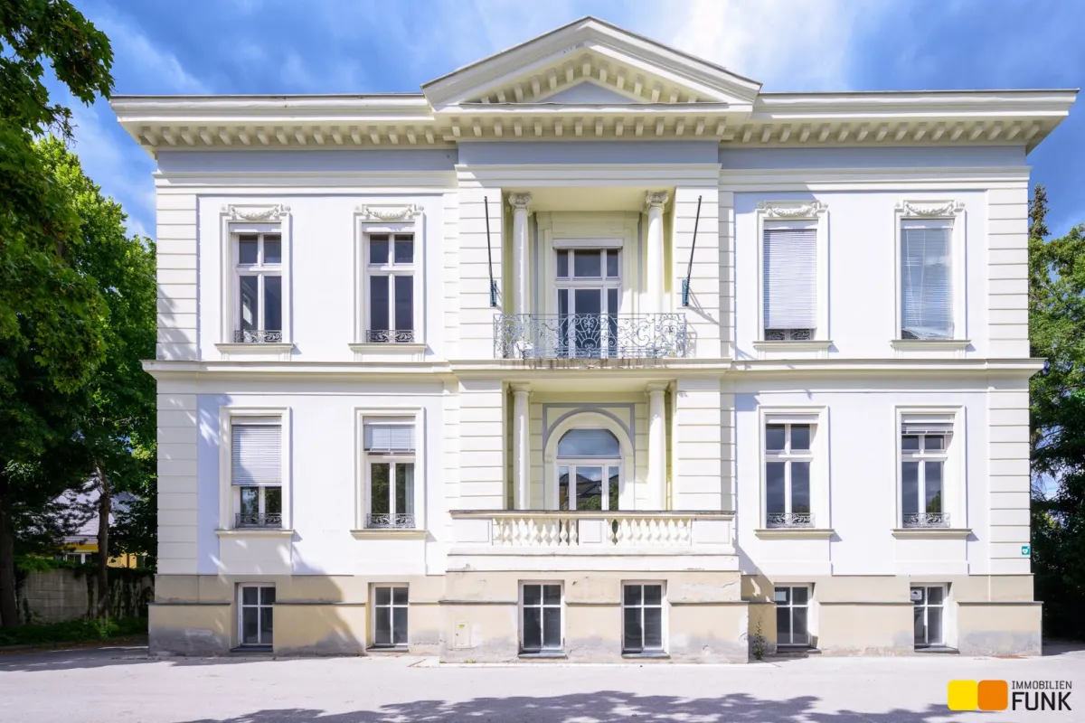 Bestandsfreie Villa - Bild 1