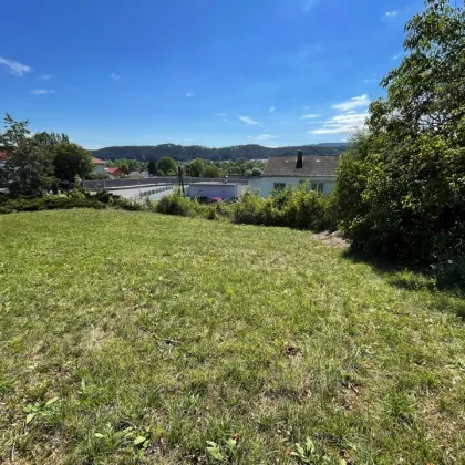 Bauen Sie Ihr Traumhaus in Pottschach - 584m² Baugrund mit Fernblick für nur € 95.000,00! - Bild 3