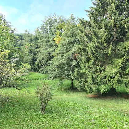 **** HERRLICHER FERNBLICK *** AM ENDE EINER SACKGASSE *** ZENTRUMSNAHE *** - Bild 3