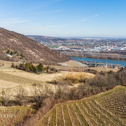 6.800 m² Fläche! Prominenter Weingarten mit Blick auf die Leopoldskirche - Bild 3